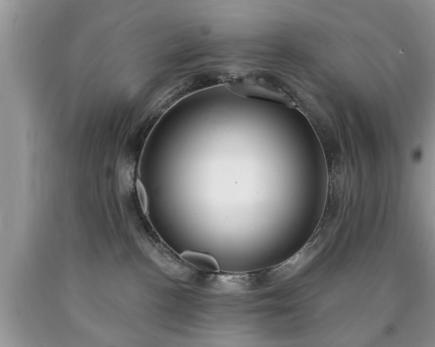 X0000090500188200707201555