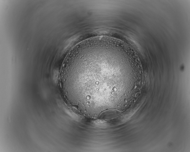 X0000090500189200707201555