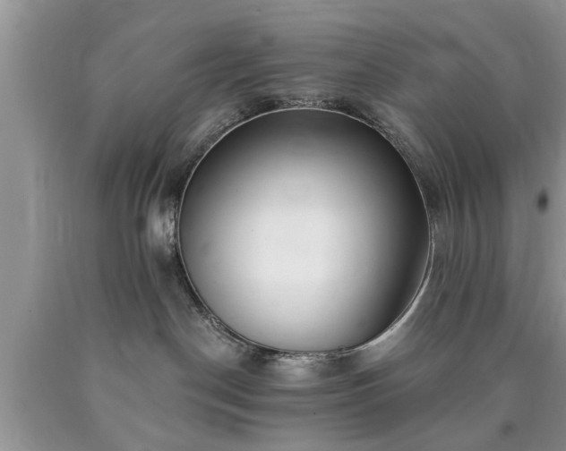 X0000090500190200707201555