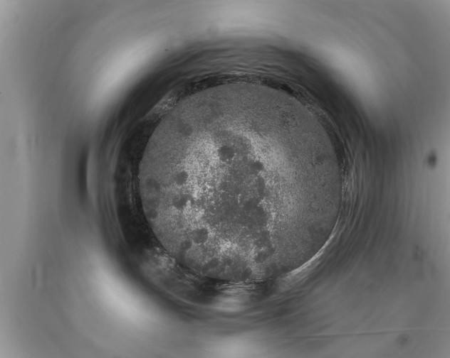 X0000090500191200707201555