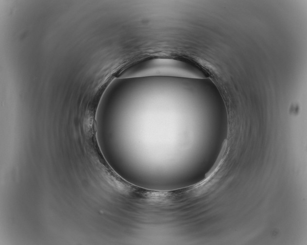 X0000090500192200707201555