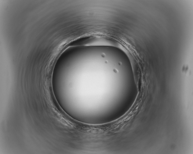 X0000090500193200707201554