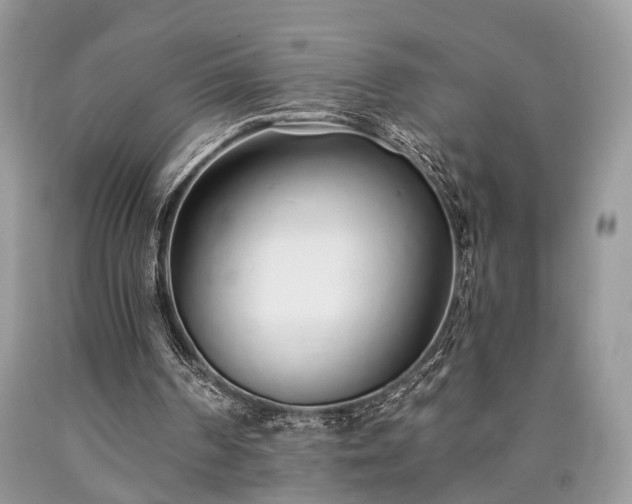 X0000090500194200707201554