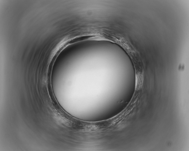 X0000090500195200707201554