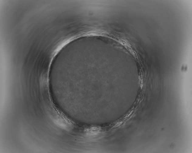 X0000090500196200707201554