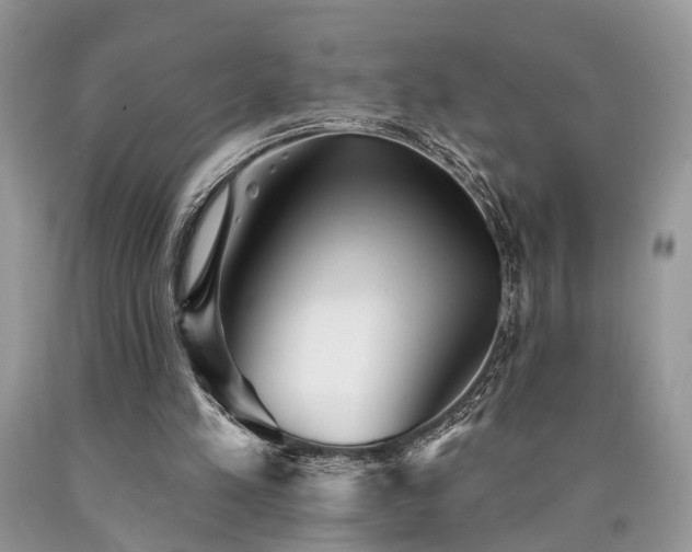 X0000090500197200707201554