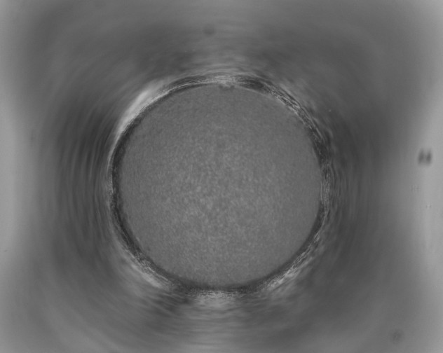 X0000090500198200707201554