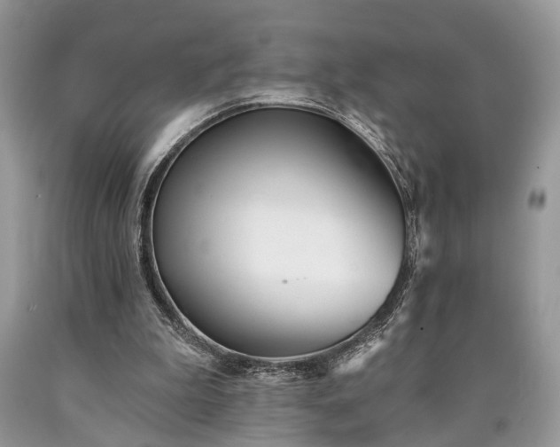 X0000090500199200707201554