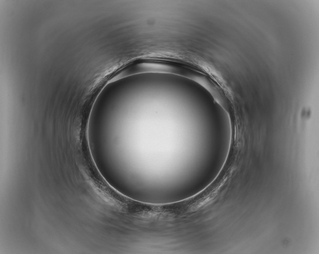 X0000090500201200707201554