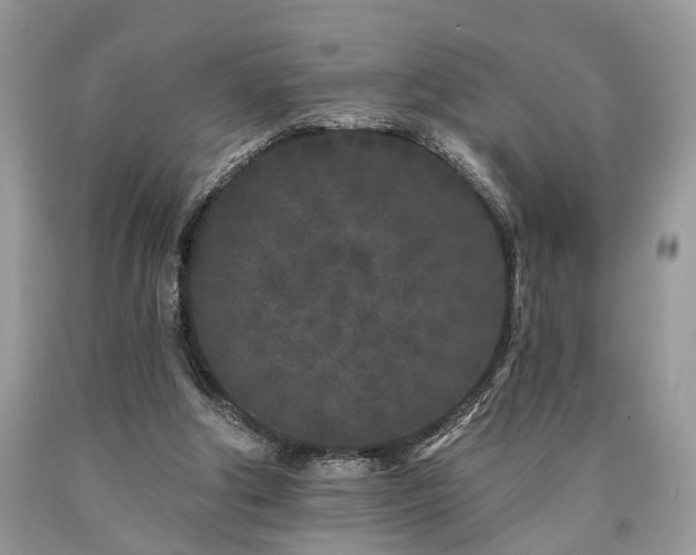 X0000090500202200707201554