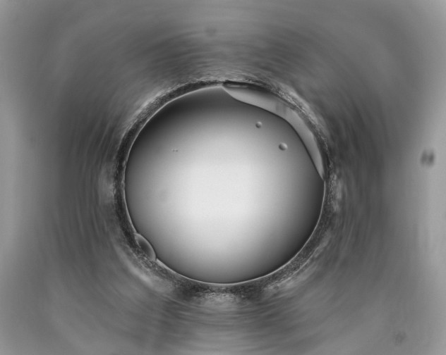 X0000090500203200707201554