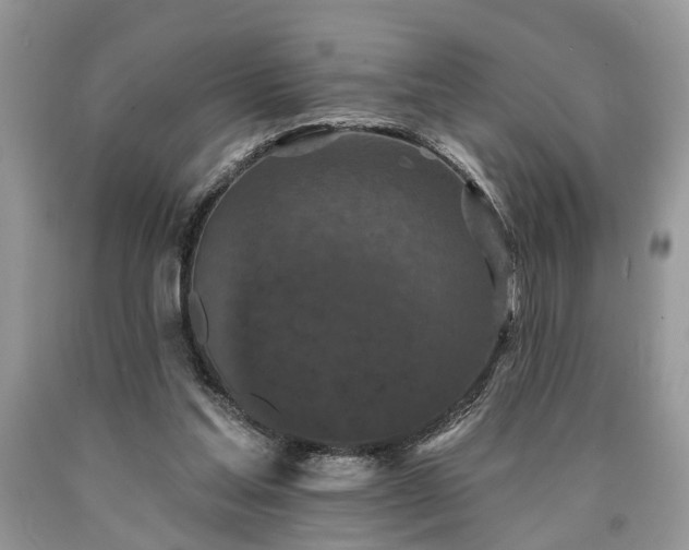 X0000090500205200707201554