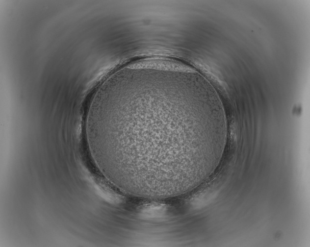 X0000090500206200707201554