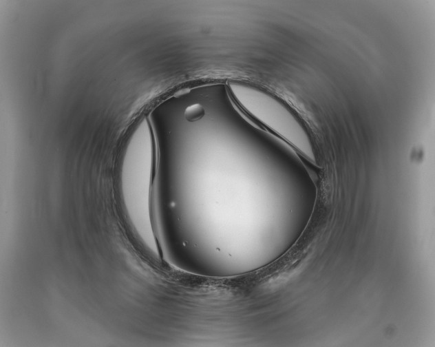 X0000090500207200707201554