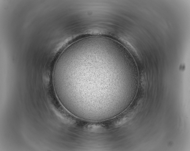 X0000090500208200707201554