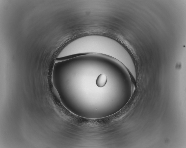 X0000090500209200707201554