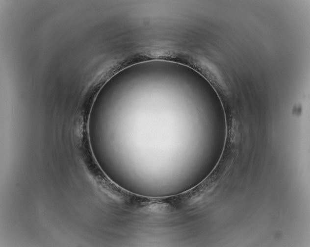 X0000090500210200707201554