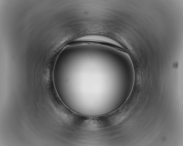 X0000090500211200707201554