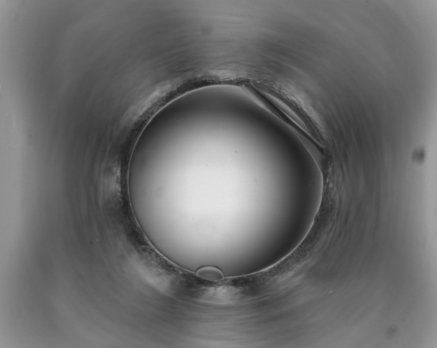 X0000090500212200707201554