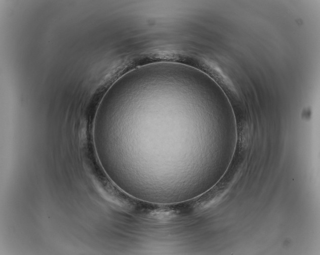 X0000090500213200707201554