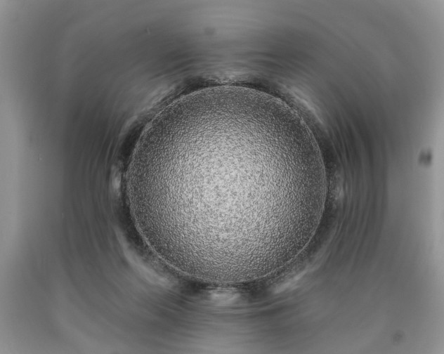 X0000090500214200707201554