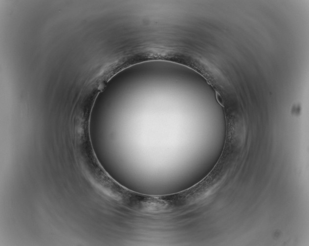 X0000090500215200707201554