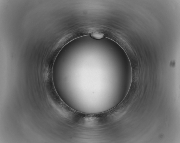 X0000090500216200707201554