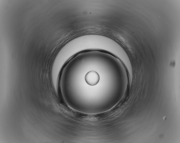 X0000090500217200707201554