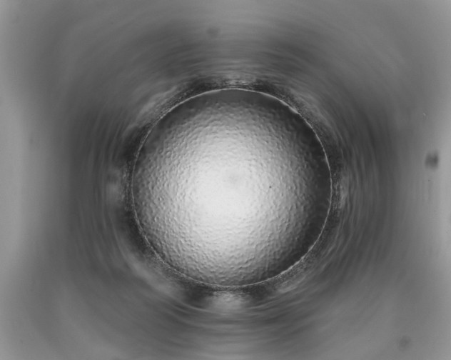 X0000090500218200707201554