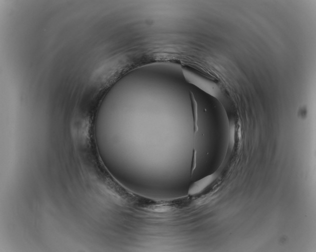 X0000090500219200707201554