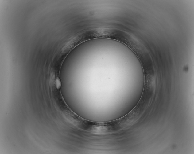 X0000090500220200707201554