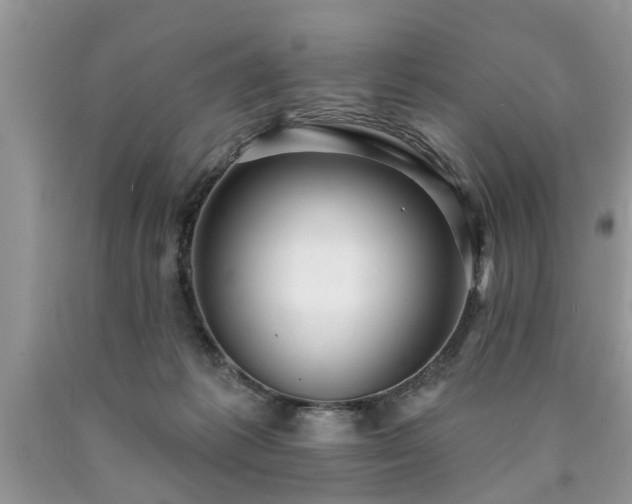 X0000090500221200707201554