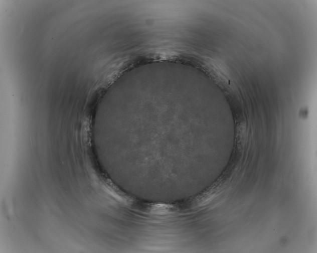 X0000090500222200707201554