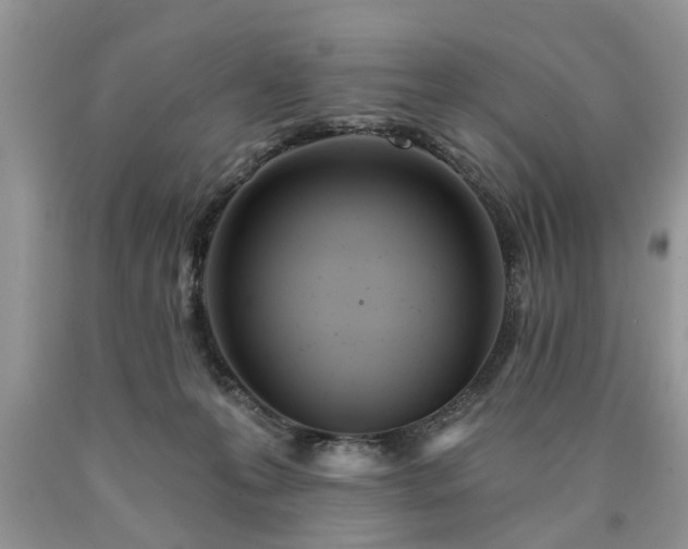 X0000090500223200707201554