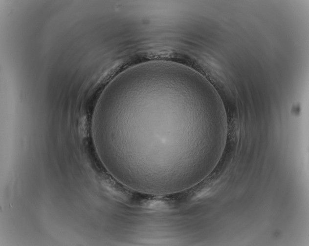 X0000090500224200707201554