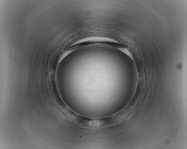 X0000090500225200707201554