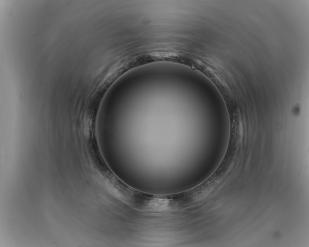 X0000090500227200707201554