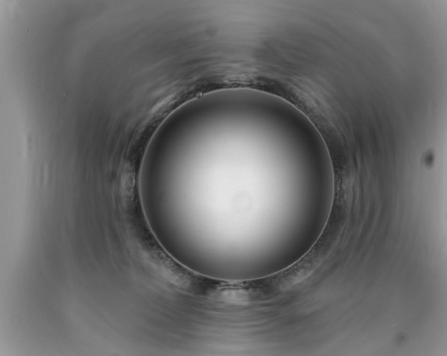 X0000090500228200707201554