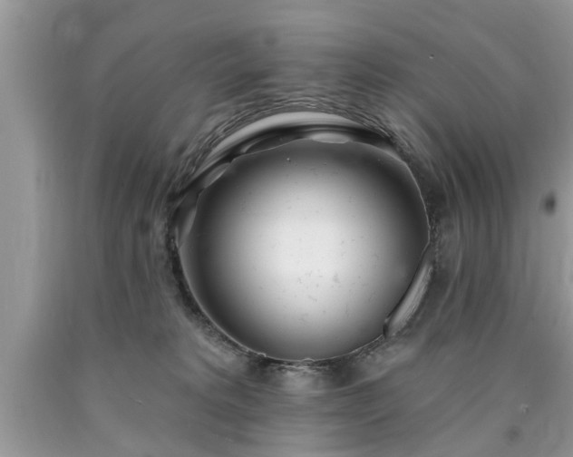 X0000090500229200707201554