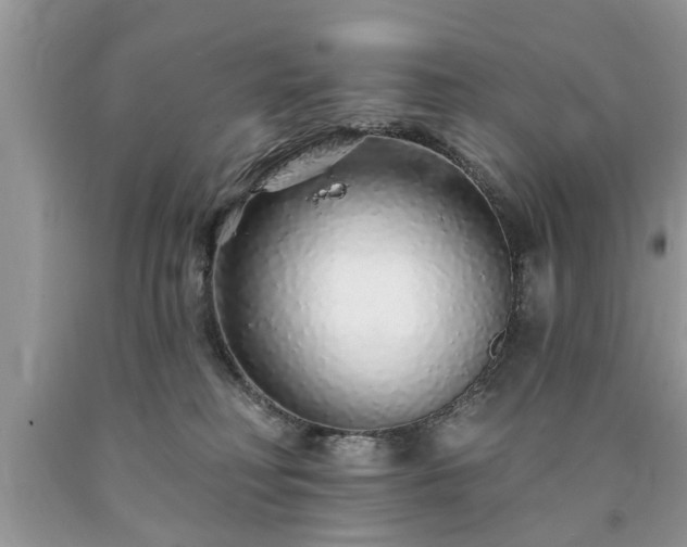 X0000090500230200707201554