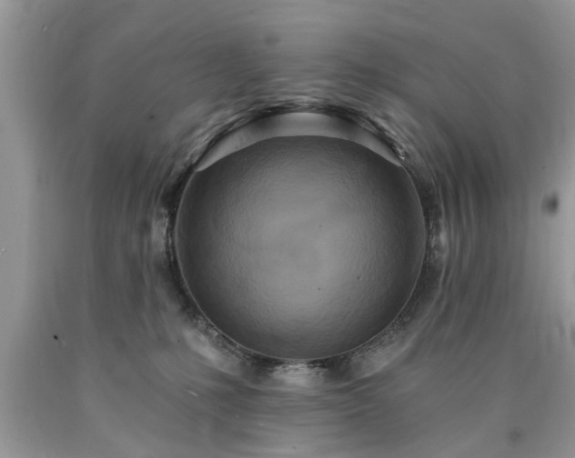 X0000090500231200707201554