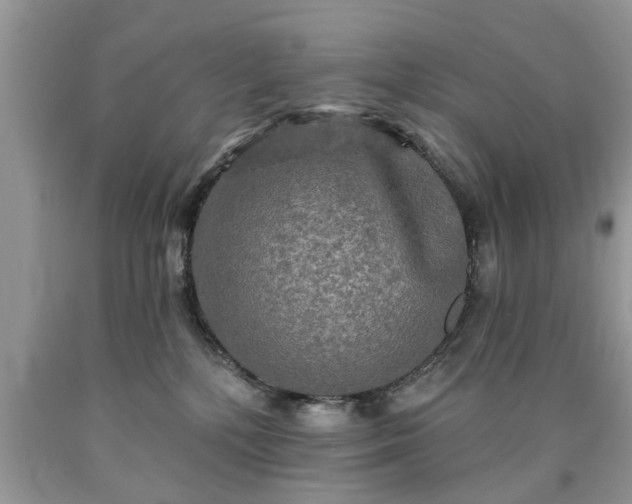 X0000090500232200707201554