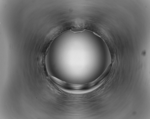 X0000090500233200707201554