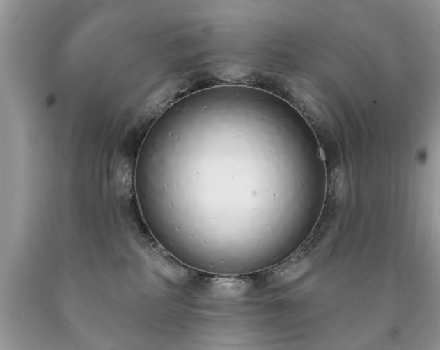 X0000090500234200707201553