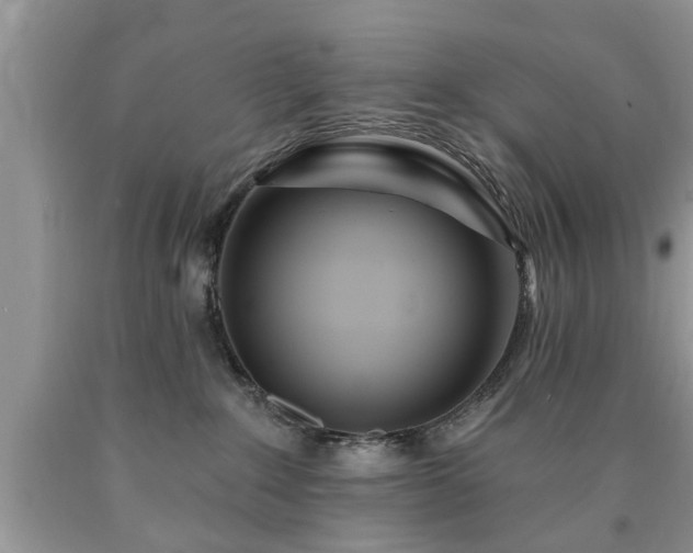 X0000090500235200707201553