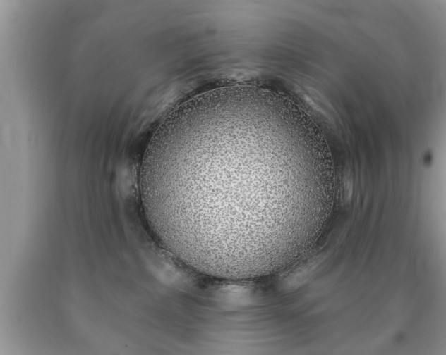 X0000090500236200707201553