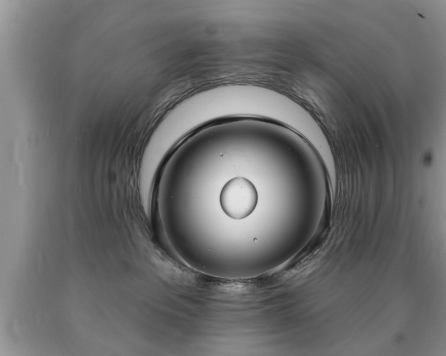 X0000090500237200707201553