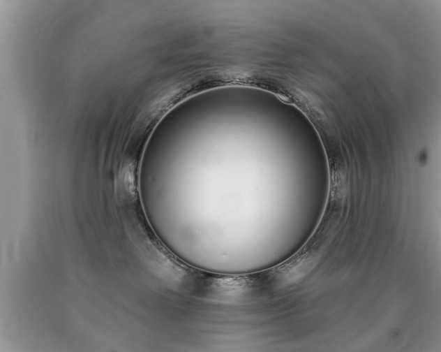 X0000090500238200707201553