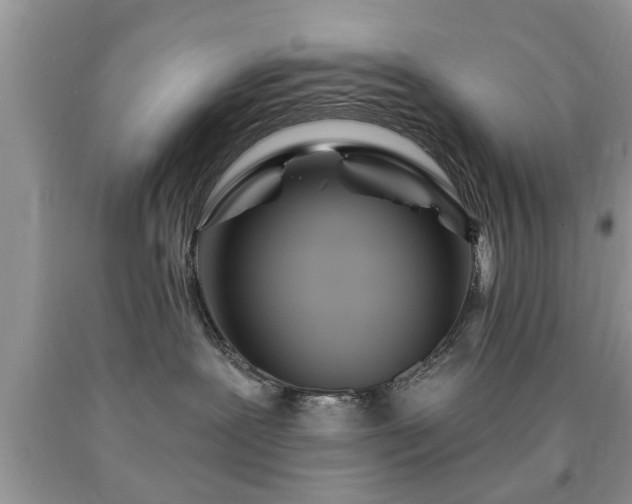 X0000090500239200707201553