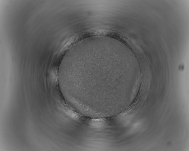 X0000090500240200707201553